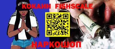 индика Бийск