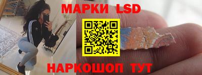индика Бийск