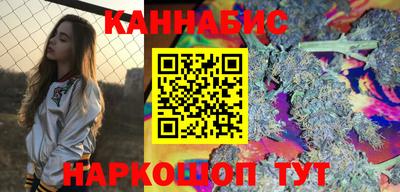 индика Бийск