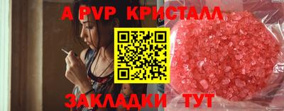 индика Бийск